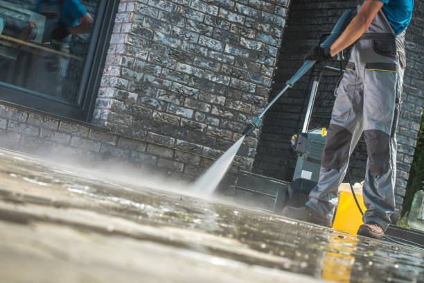 Best Animal Enclosure Cleaning  in Demopolis, AL